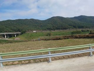 오영도님의 자유주제 · 자유게시판 작성글 사진