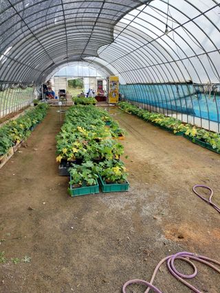 서산팔봉농원님의 기타작물 · 영농일지 작성글 사진