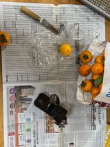 팜모닝 자유주제·자유게시판 게시글 이미지