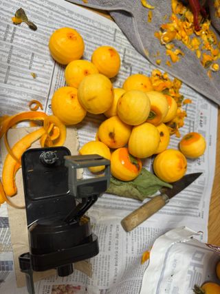 김혁식님의 자유주제 · 자유게시판 작성글 사진