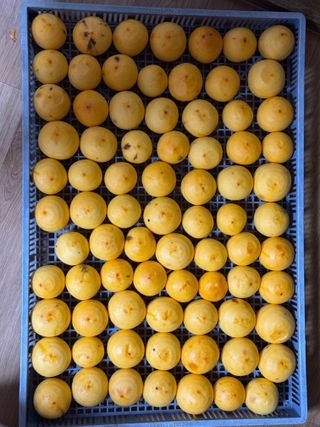 김혁식님의 자유주제 · 자유게시판 작성글 사진