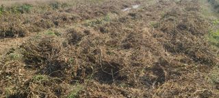 정진해님의 자유주제 · 자유게시판 작성글 사진