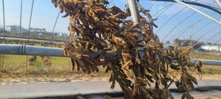 정진해님의 자유주제 · 자유게시판 작성글 사진