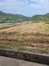 팜모닝 자유주제·자유게시판 게시글 이미지