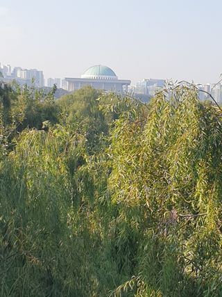 허굴산농장님의 자유주제 · 자유게시판 작성글 사진