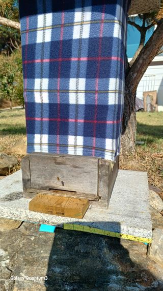 들깨 자색마 고추님의 작성글 사진