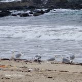 팜모닝 11월 농사 계획 공유하기·참여글 게시글 이미지