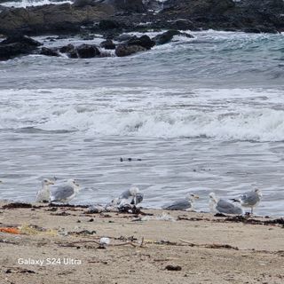이의석님의 11월 농사 계획 공유하기 · 참여글 작성글 사진