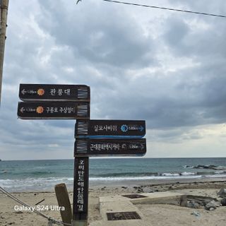 이의석님의 11월 농사 계획 공유하기 · 참여글 작성글 사진