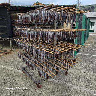 이의석님의 11월 농사 계획 공유하기 · 참여글 작성글 사진