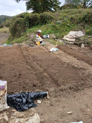 김영경님의 11월 농사 계획 공유하기 · 참여글 작성글 사진