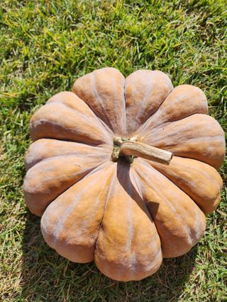 최상길 님의 자유주제 · 사진전 작성글 사진