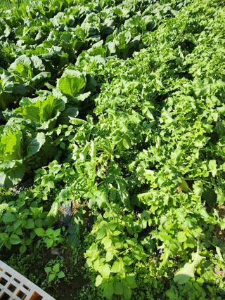 최상길 님의 자유주제 · 사진전 작성글 사진