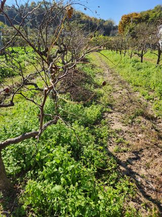최상길 님의 자유주제 · 사진전 작성글 사진