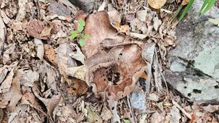 딸기9021님의 자유주제 · 자유게시판 작성글 사진