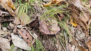 딸기9021님의 자유주제 · 자유게시판 작성글 사진