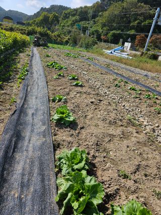 딱따구리집짖는마을님의 자유주제 · 자유게시판 작성글 사진