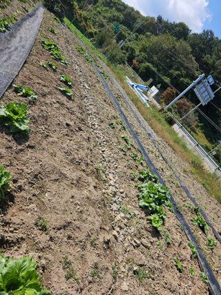 딱따구리집짖는마을님의 자유주제 · 자유게시판 작성글 사진