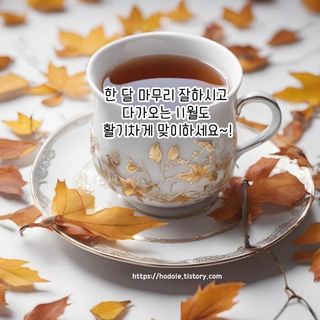 MSG0074님의 자유주제 · 자유게시판 작성글 사진