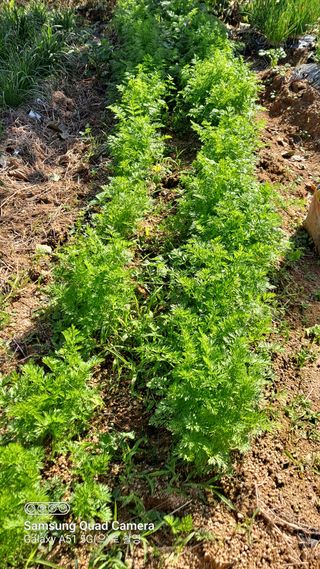 MSG0074님의 자유주제 · 자유게시판 작성글 사진