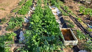 MSG0074님의 자유주제 · 자유게시판 작성글 사진