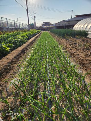 김시내 님의 자유주제 · 사진전 작성글 사진