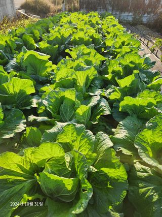 김시내 님의 자유주제 · 사진전 작성글 사진