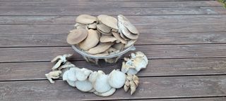 김정은님의 버섯 · 영농일지 작성글 사진