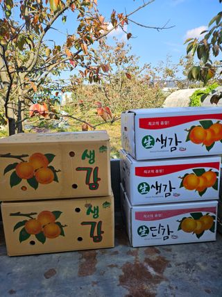 전법님의 자유주제 · 자유게시판 작성글 사진