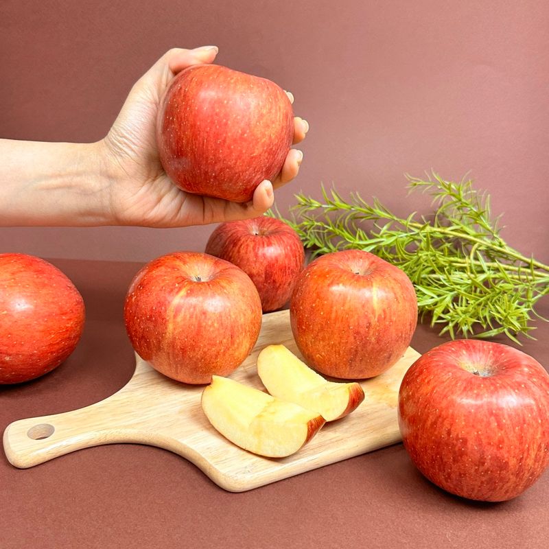 장터 상품 [경북 부사 사과 꿀사과 황금사과 시나노골드 못난이 흠집] 썸네일