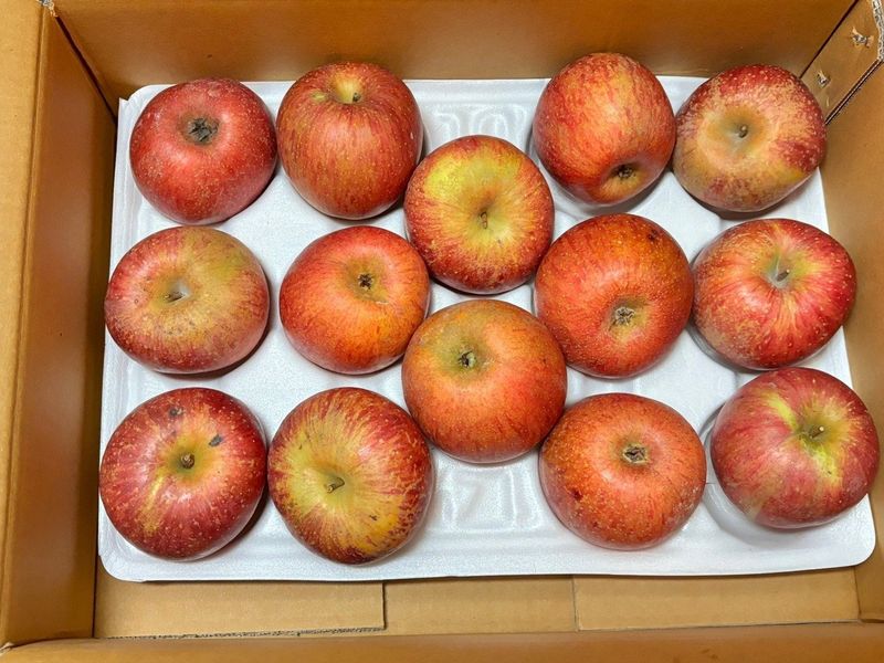 자재스토어님의 장터 판매 상품 [경북 부사 사과 꿀사과 황금사과 시나노골드 못난이 흠집] 첨부 사진