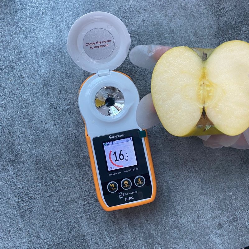 자재스토어님의 장터 판매 상품 [경북 부사 사과 꿀사과 황금사과 시나노골드 못난이 흠집] 첨부 사진