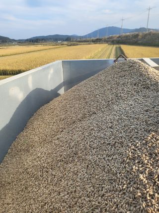 김영진(전남영광)님의 자유주제 · 자유게시판 작성글 사진