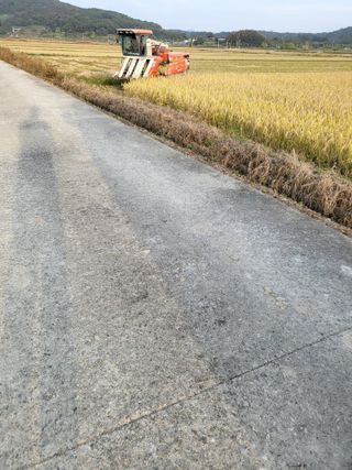 김영진(전남영광)님의 자유주제 · 자유게시판 작성글 사진