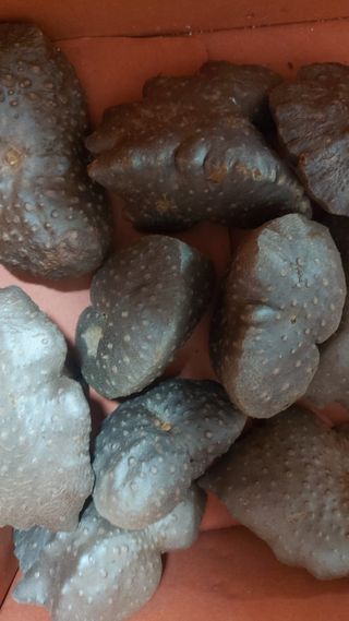 권세민님의 11월 농사 계획 공유하기 · 참여글 작성글 사진