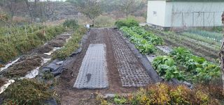 금원산농장님의 자유주제 · 자유게시판 작성글 사진