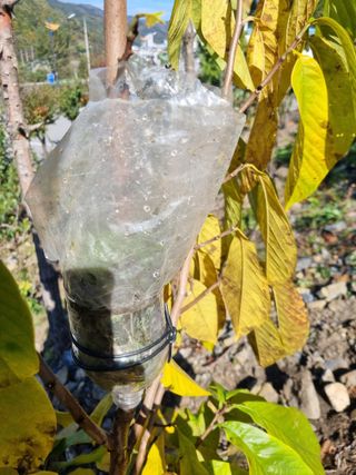 김용대님의 자유주제 · 자유게시판 작성글 사진