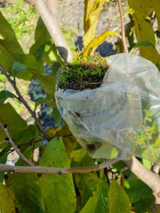 김용대님의 자유주제 · 자유게시판 작성글 사진