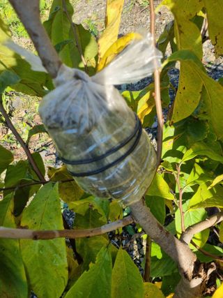 김용대님의 자유주제 · 자유게시판 작성글 사진