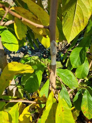 김용대님의 자유주제 · 자유게시판 작성글 사진