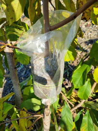 김용대님의 자유주제 · 자유게시판 작성글 사진