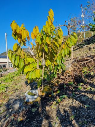 김용대님의 자유주제 · 자유게시판 작성글 사진