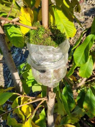 김용대님의 자유주제 · 자유게시판 작성글 사진