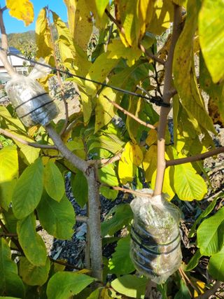 김용대님의 자유주제 · 자유게시판 작성글 사진