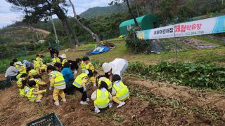 이상보님의 작성글 사진