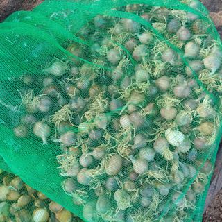 삼성농산님의 자유주제 · 자유게시판 작성글 사진