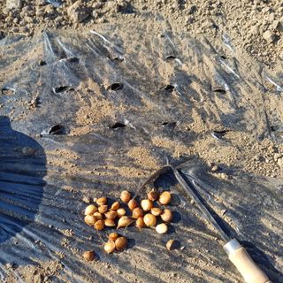 삼성농산님의 자유주제 · 자유게시판 작성글 사진