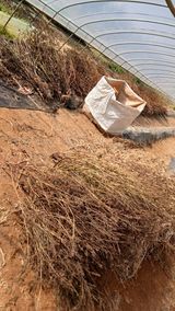 팜모닝 들깨·영농일지 게시글 이미지