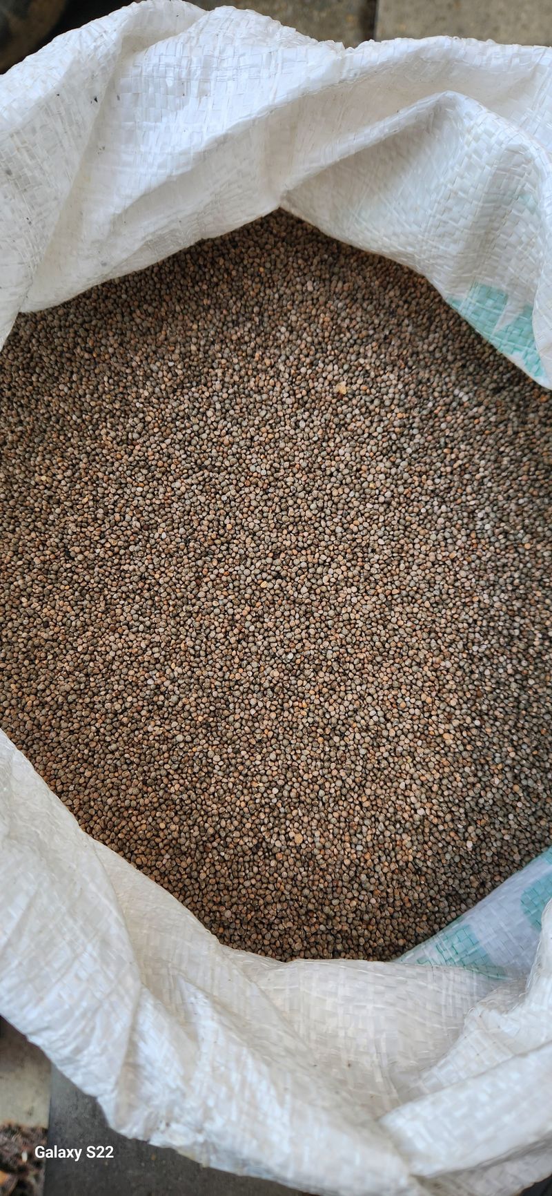 장터 상품 [들깨 5kg] 썸네일