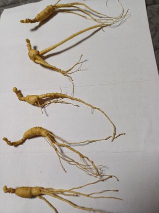 포천종삼농사꾼님의 자유주제 · 자유게시판 작성글 사진